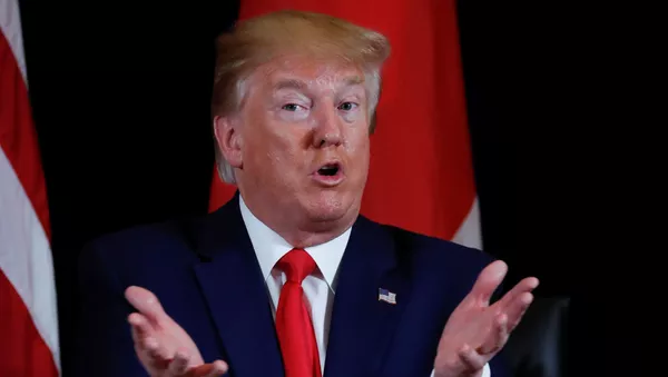 Donald Trump, presidente de EEUU (archivo) - Sputnik Mundo