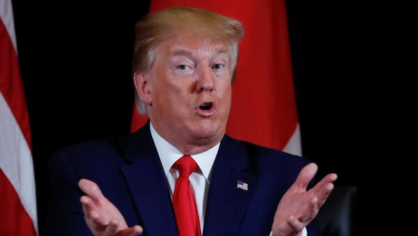 Donald Trump, presidente de EEUU - Sputnik Mundo