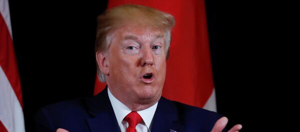 Donald Trump, presidente de EEUU - Sputnik Mundo