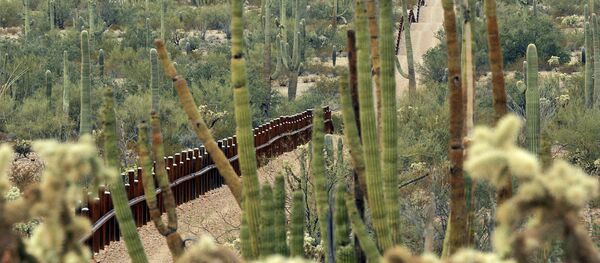 Cerco entre México y EEUU en la zona del Monumento Nacional Organ Pipe Cactus, que será remplazado por el muero fronterizo - Sputnik Mundo