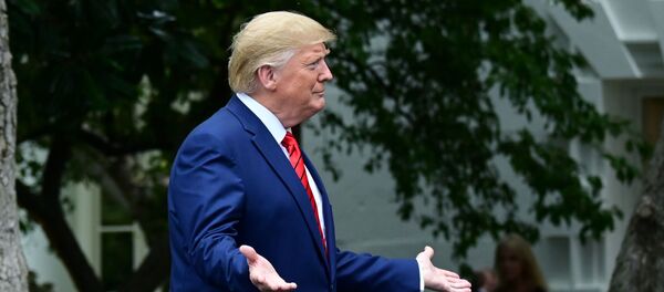 Donald Trump, el presidente de EEUU - Sputnik Mundo