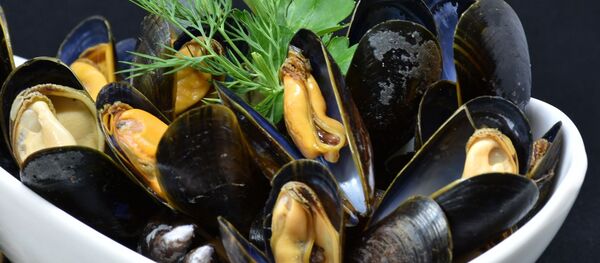 Mejillones (imagen referencial) - Sputnik Mundo