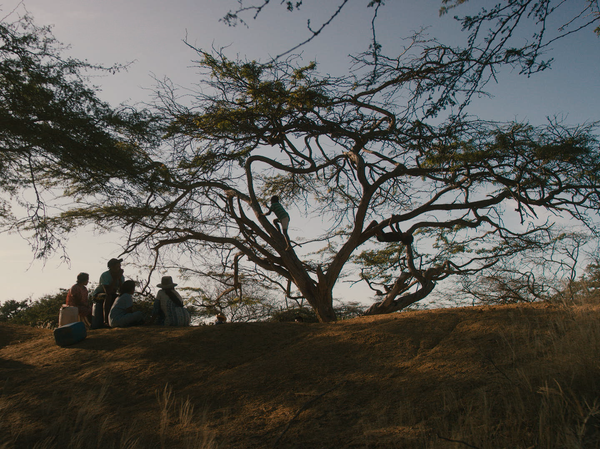 Moscú recibe a los indígenas wayuus en la pantalla grande - Sputnik Mundo
