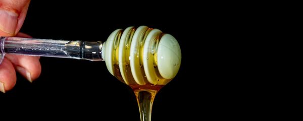 Miel - Sputnik Mundo