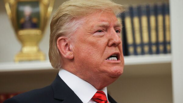 Donald Trump, presidente de Estados Unidos - Sputnik Mundo