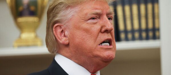 Donald Trump, presidente de Estados Unidos Donald Trump, presidente de Estados Unidos - Sputnik Mundo