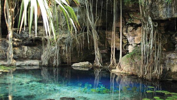 El cenote de X'baatún en México - Sputnik Mundo