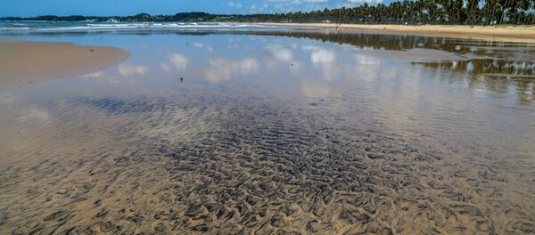 Petróleo en una playa en Brasil - Sputnik Mundo