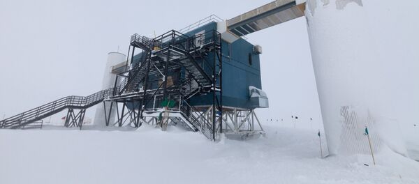 El laboratorio IceCube en la Antártida (archivo) El laboratorio IceCube en la Antártida (archivo) - Sputnik Mundo