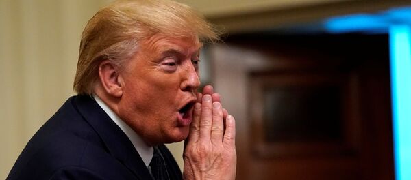 Donald Trump, presidente de EEUU - Sputnik Mundo