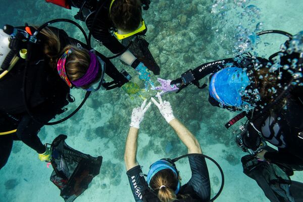 Así salvan a los corales del Caribe de una misteriosa enfermedad - Sputnik Mundo