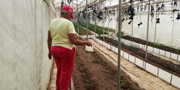 La resistencia colectiva en Venezuela apuesta a la agroecología La resistencia colectiva en Venezuela apuesta a la agroecología - Sputnik Mundo