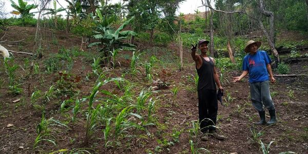 La resistencia colectiva en Venezuela apuesta a la agroecología La resistencia colectiva en Venezuela apuesta a la agroecología - Sputnik Mundo