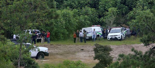 Forenses y policías en el terreno de Zapopan, Guadalajara, donde se encontraron cientos de restos humanos - Sputnik Mundo