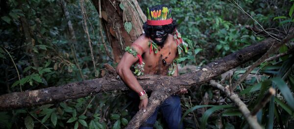 Un indígena en Amazonía Un indígena en Amazonía - Sputnik Mundo