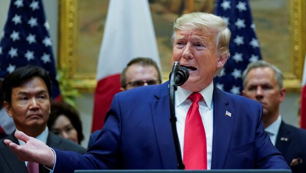 Donald Trump, presidente de EEUU - Sputnik Mundo