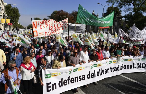 Los productores de aceite españoles piden combatir la crisis por los aranceles de Trump - Sputnik Mundo