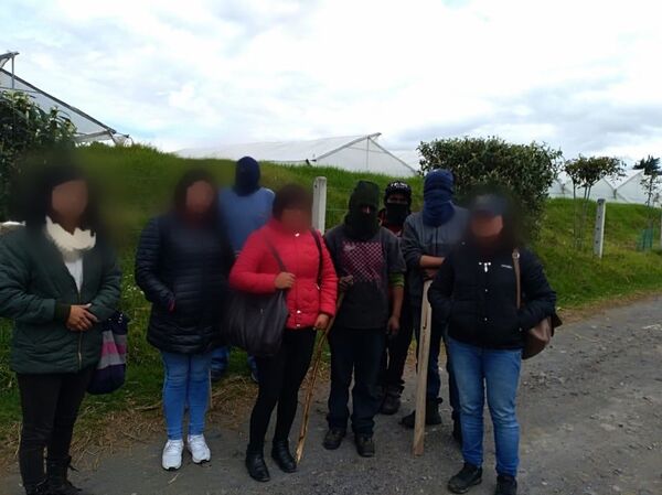 Productores de flores ecuatorianos denuncian pérdidas millonarias por protestas - Sputnik Mundo