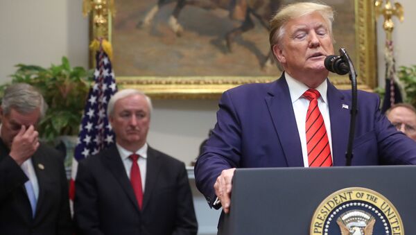 Donald Trump, presidente de EEUU Donald Trump, presidente de EEUU - Sputnik Mundo