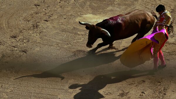 Un torero - Sputnik Mundo