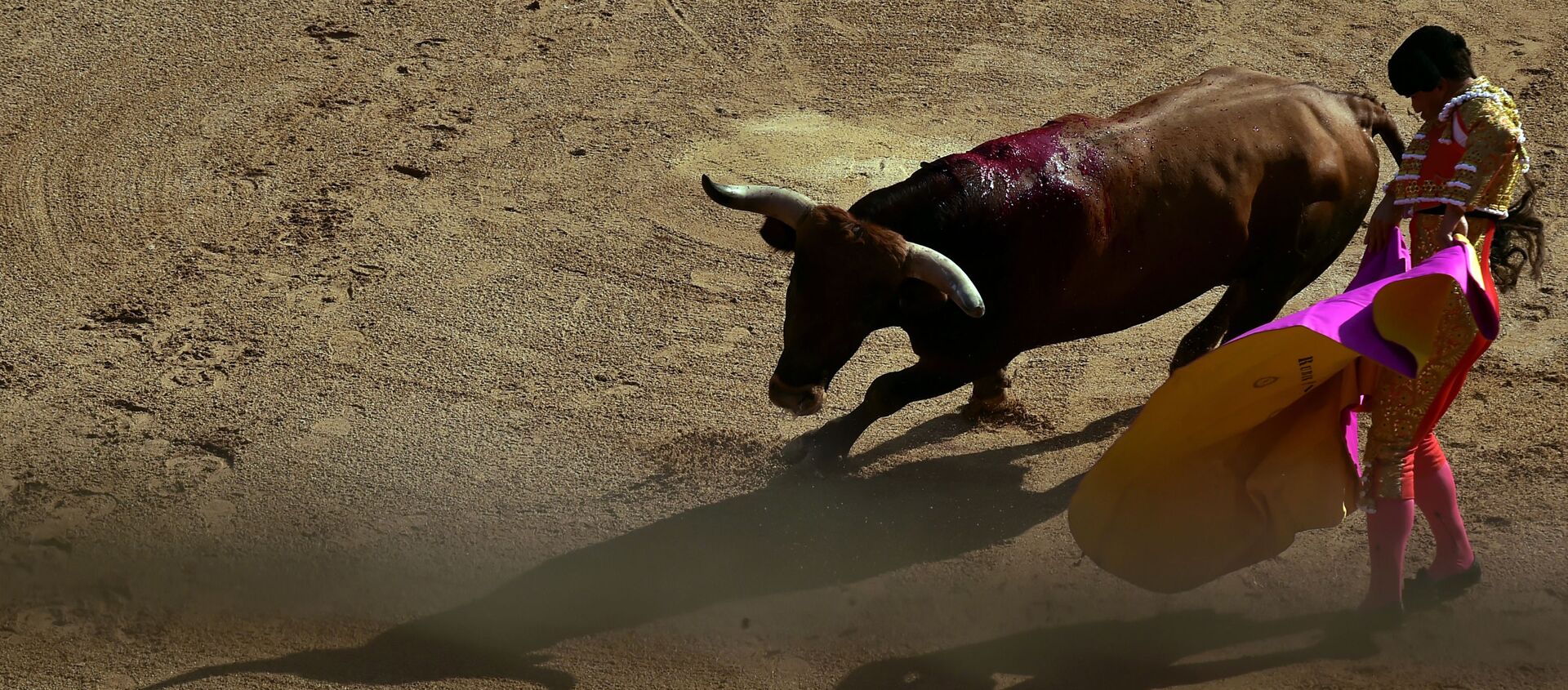 Un torero - Sputnik Mundo, 1920, 12.10.2019