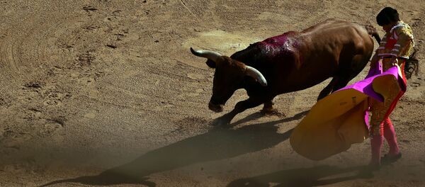Un torero - Sputnik Mundo