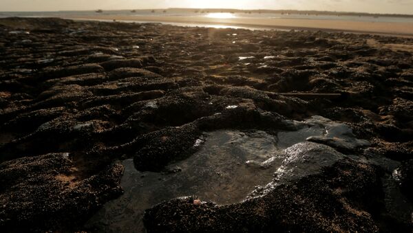 Petróleo en la costa de Brasil - Sputnik Mundo