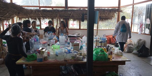 Así trabajan las brigadas médicas de voluntarios en medio de los combates quiteños - Sputnik Mundo