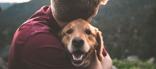 Una persona y su perro - Sputnik Mundo