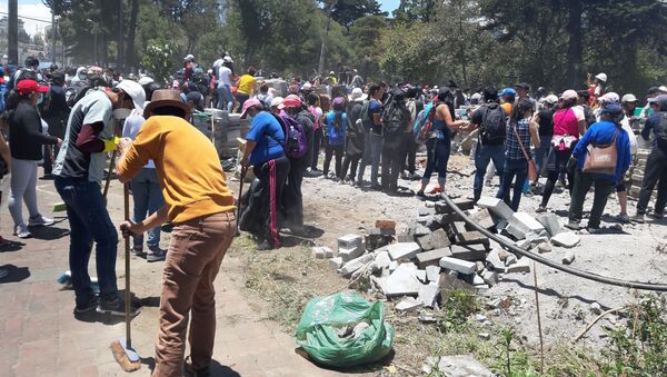 Cientos de voluntarios acudieron en la mañana del 14 de octubre para colaborar con la limpieza de la ciudad. En el Parque El Ejido, frente a la Casa de la Cultura, decenas de voluntarios, con escobas y mascarillas para protegerse del polvo.  - Sputnik Mundo