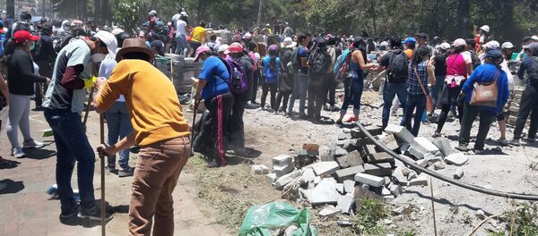Cientos de voluntarios acudieron en la mañana del 14 de octubre para colaborar con la limpieza de la ciudad. En el Parque El Ejido, frente a la Casa de la Cultura, decenas de voluntarios, con escobas y mascarillas para protegerse del polvo.  - Sputnik Mundo