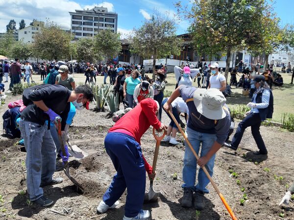 Los quiteños se vuelcan a limpiar las calles de la capital de Ecuador - Sputnik Mundo