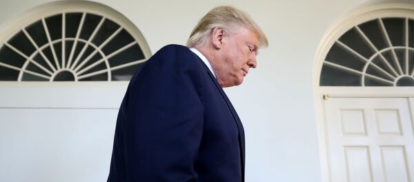 Donald Trump, presidente de EEUU - Sputnik Mundo