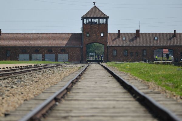El campo del horror: 75 años atrás, el Ejército soviético liberaba Auschwitz El campo del horror: 75 años atrás, el Ejército soviético liberaba Auschwitz - Sputnik Mundo