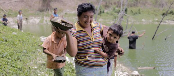 Apicultores maya de la Península de Yucatán - Sputnik Mundo