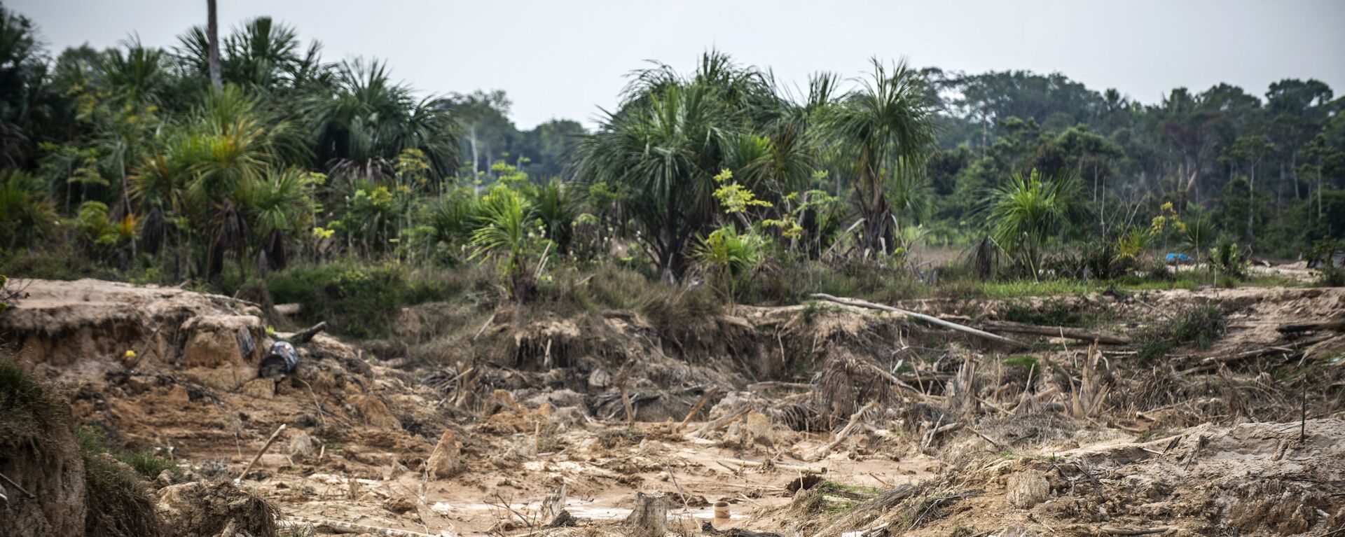 Deforestación causada por minería ilegal en la Amazonía peruana - Sputnik Mundo, 1920, 27.05.2021