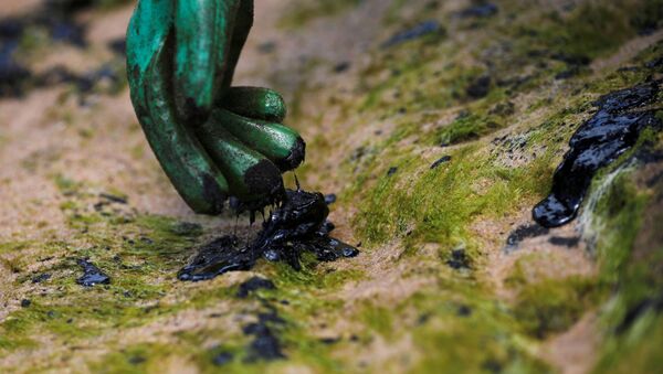 Petróleo en las costas brasileñas - Sputnik Mundo