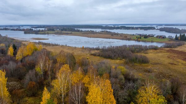 Estos paisajes dorados del norte de Rusia te dejarán sin aliento

 - Sputnik Mundo