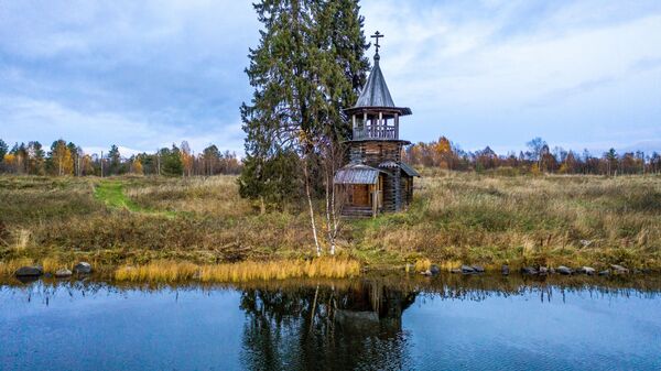 Estos paisajes dorados del norte de Rusia te dejarán sin aliento

 - Sputnik Mundo