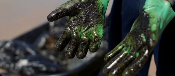 Las manos después de limpiar la playa del petróleo (archivo) - Sputnik Mundo