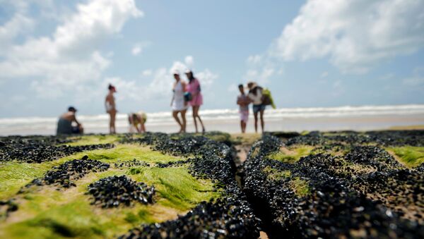 Una vista a la playa 'Sitio do Conde' en el estado brasileño de Bahía - Sputnik Mundo