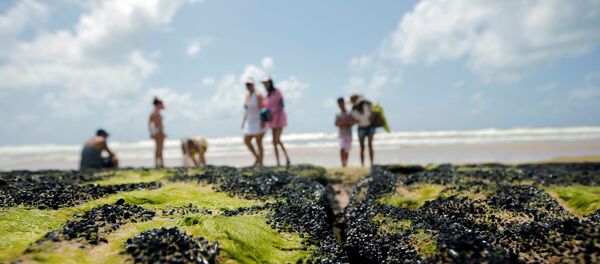Una vista a la playa 'Sitio do Conde' en el estado brasileño de Bahía - Sputnik Mundo