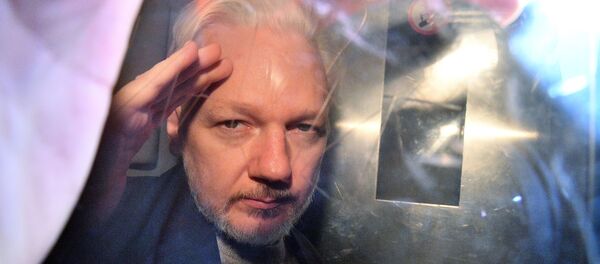 Julian Assange, fundador de WikiLeaks  - Sputnik Mundo
