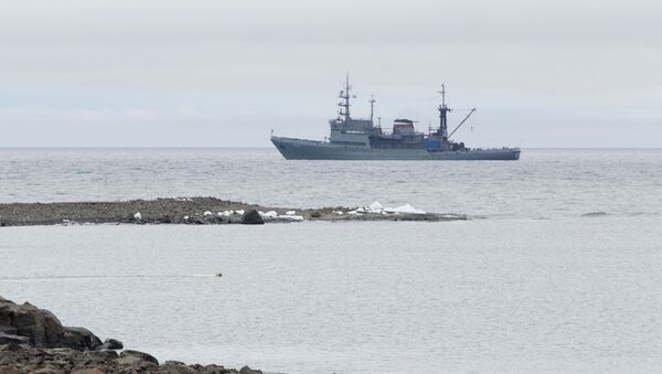 Altái, el barco de la expedición, con un oso nadando en primer plano - Sputnik Mundo