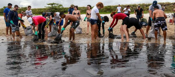 Las tareas de limpieza del petróleo en la playa de Brasil - Sputnik Mundo