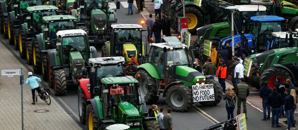 Agricultores participan en una protesta contra las políticas agrícolas alemanas en la ciudad de Bonn - Sputnik Mundo
