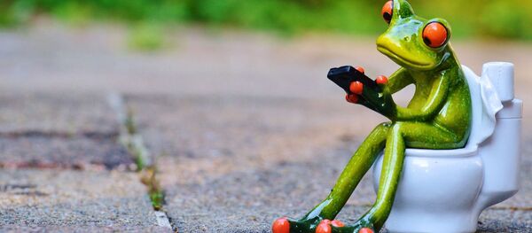 Una rana con un teléfono móvil sentada en un indoro (imagen referencial) - Sputnik Mundo