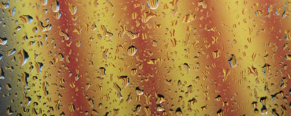 Bandera de Cataluña reflejada en un cristal con gotas de agua - Sputnik Mundo