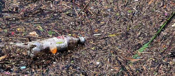 Una botella de plásctico (imagen referencial) - Sputnik Mundo