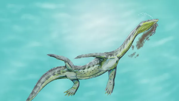 Recreación artística de un Ceresiosaurus calcagnii